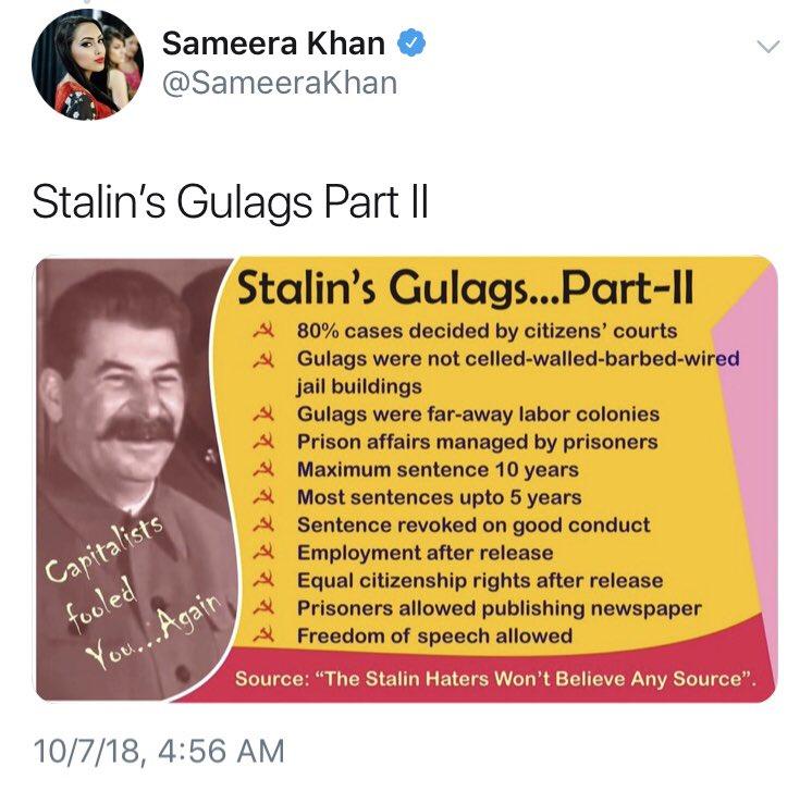 "Dziennikarka" Russia Today wychwalała gułagi Stalina. Szybko pożałowała:putin: