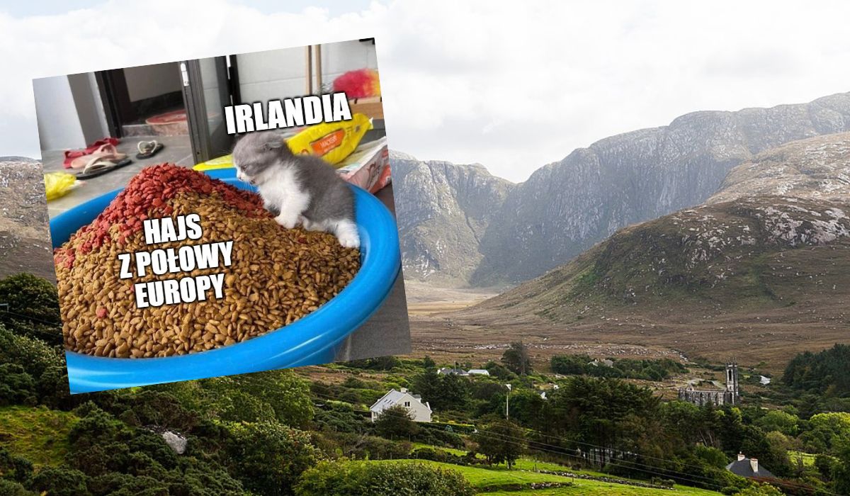 Irlandia zmaga się z nadwyżką budżetową, bo różne korporacje uciekają do niej płacić podatki