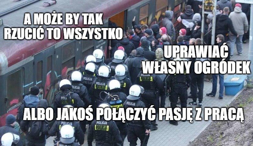 Policjant z Jastrzębia-Zdroju prowadził w domu plantację marihuany