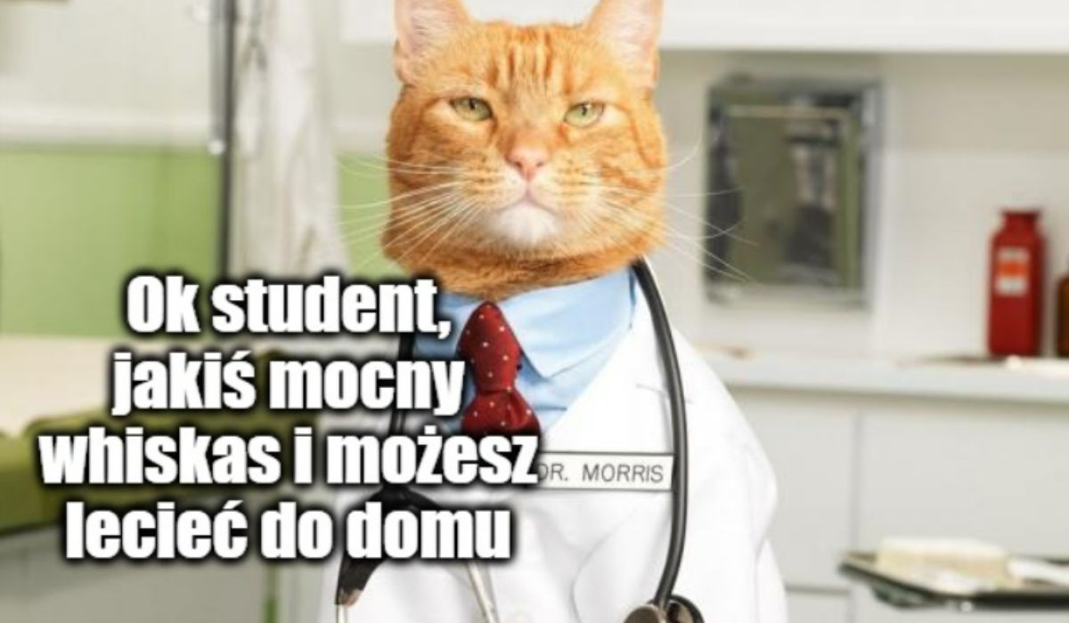 Lekarze i studenci otrzymują zarzuty za wakacyjne praktyki, których nie odbyli i za przekupstwo alkoholem