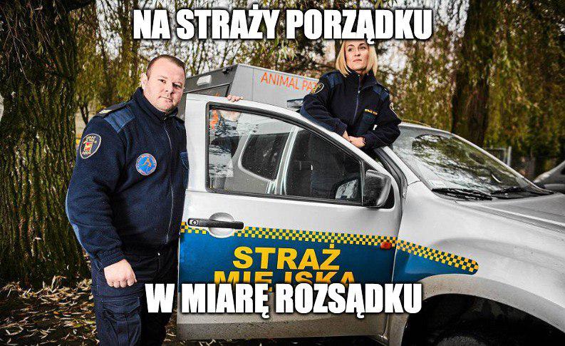 Poznań: straż miejska tonie w donosach i nie nadąża za przewinieniami