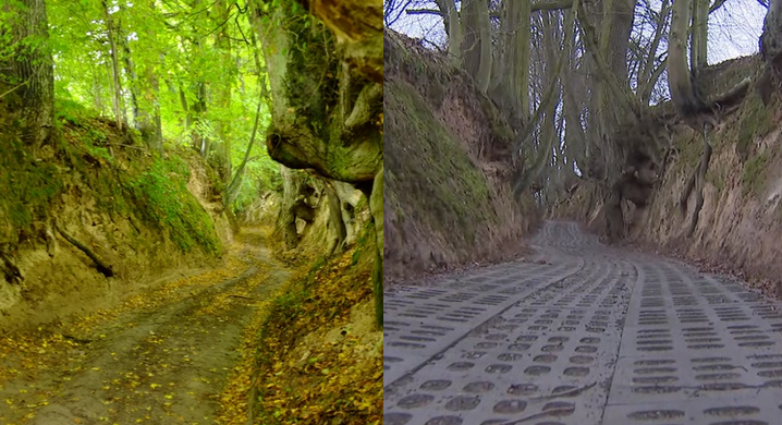 Kazimierz Dolny: władze gminy wybetonowały wąwóz lessowy