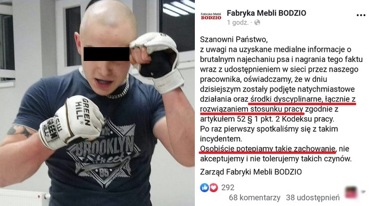 Szybka reakcja firmy "BODZIO": pracownik, który umyślnie rozjechał psa, zwolniony