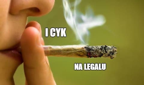Marihuana w Kanadzie jest od dziś legalna