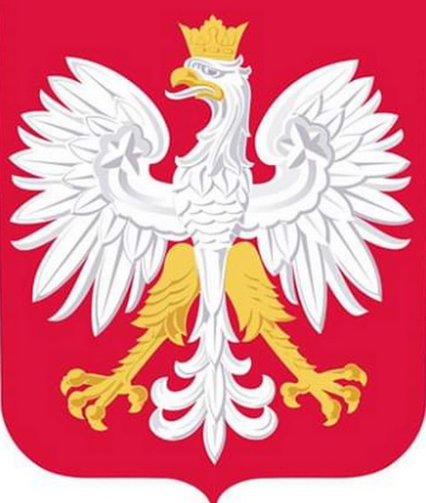 PiS chce, żeby orzeł w godle miał żółte rajtuzy