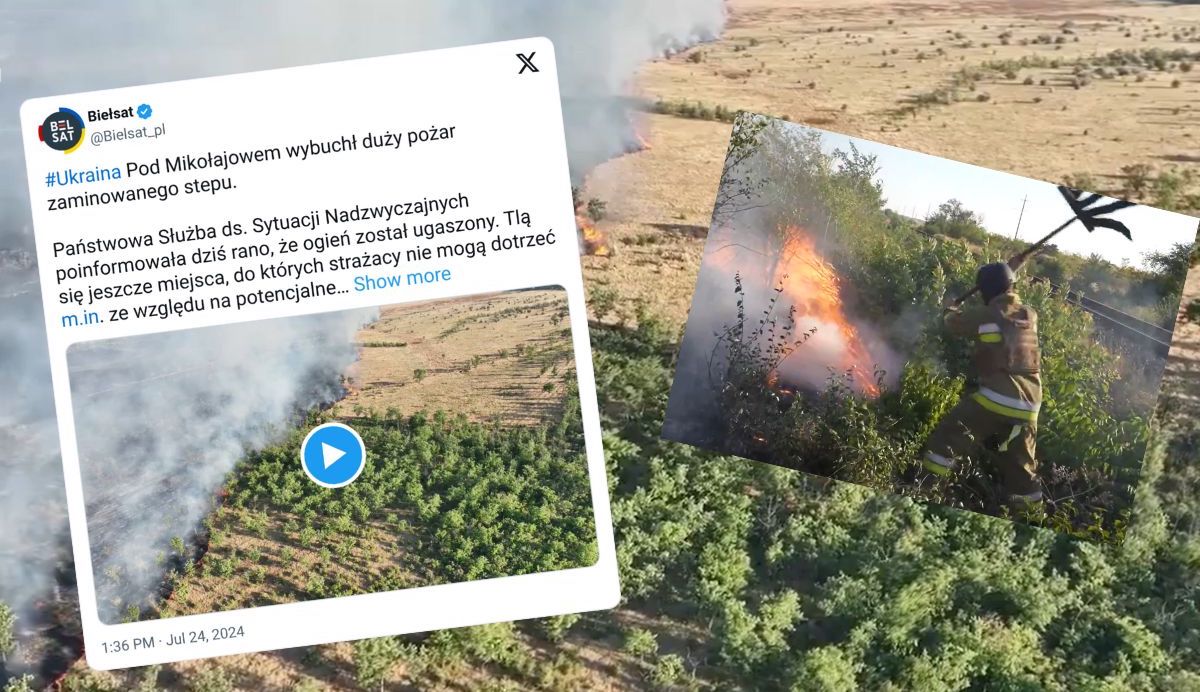 Ukraina: strażacy musieli walczyć z pożarem zaminowanego stepu
