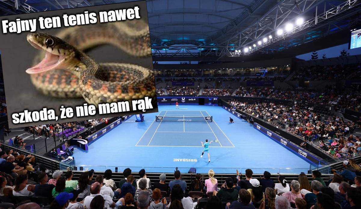 Australia: mecz tenisa został przerwany przez wizytę jadowitego węża na korcie
