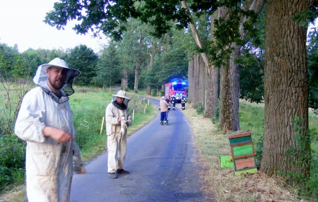 Nieudolna kradzież przyczepy z ulami, złodzieje znaczyli drogę pożądlonymi turystami