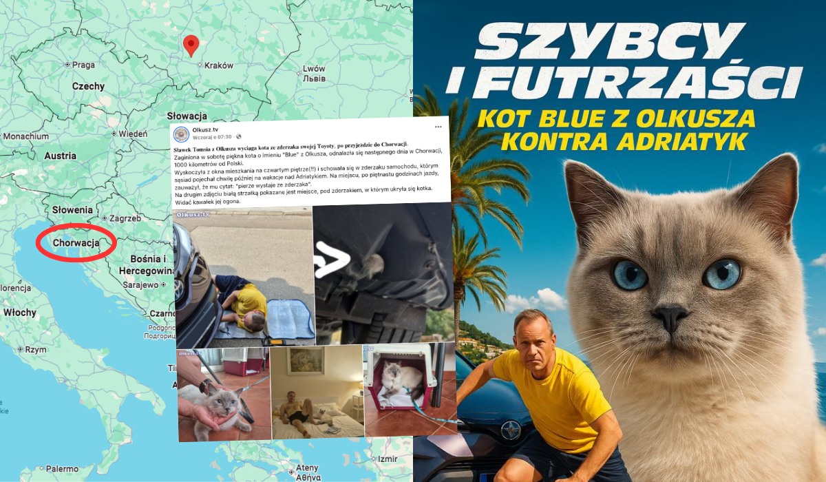 Olkusz: zaginiona kotka znalazła się 1000 km od domu, wlazła w zderzak i wysiadła dopiero w Chorwacji