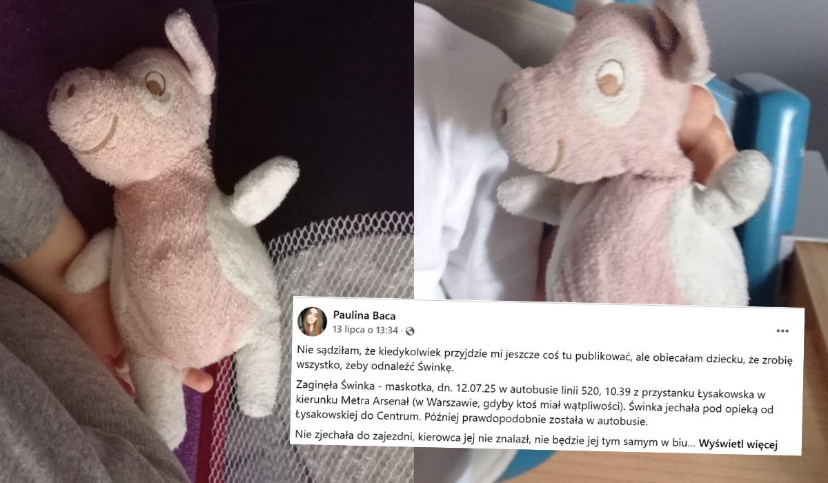 Warszawa: trwają poszukiwania pluszowej, trochę zmęczonej życiem świnki
