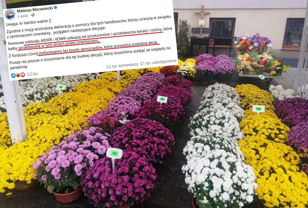 Premier ogłosił rządowy skup kwiatów cmentarnych z funduszu covidowego