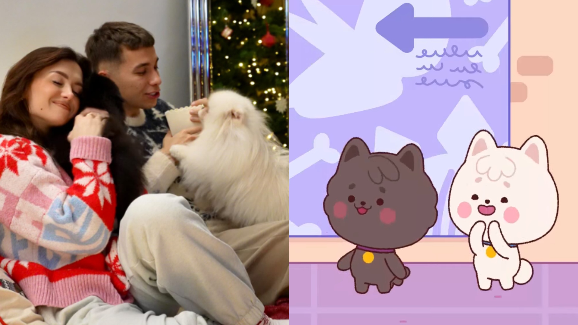 Friz chciał dostać publiczne dofinansowanie na serial o swoich psach, ale trzy razy mu odmówiono