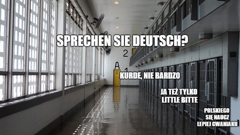 Coraz większy procent więźniów w Niemczech to imigranci