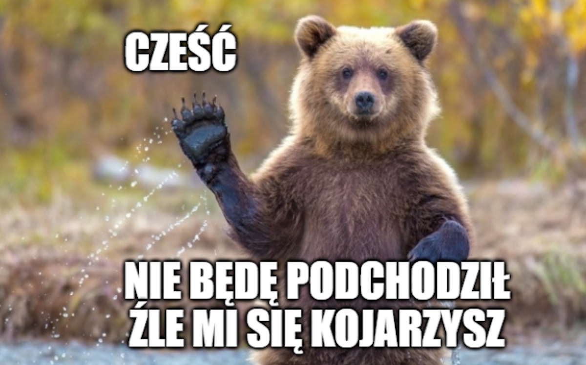 Chiny: opracowano urządzenie do odstraszania niedźwiedzi zanim dojdzie do spotkania z ludźmi