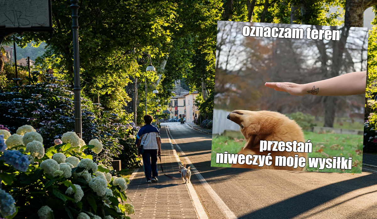 Włochy: jedno z miast nakazało sprzątać po psach, ale nie tylko kupę