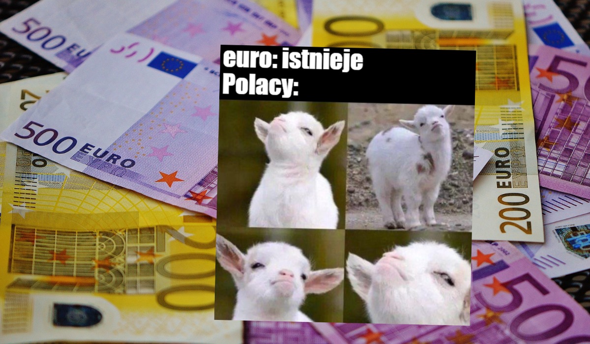 Sondaż: Polacy nie chcą przyjęcia euro i na razie nie przyjmą, bo Polska nie spełnia warunków