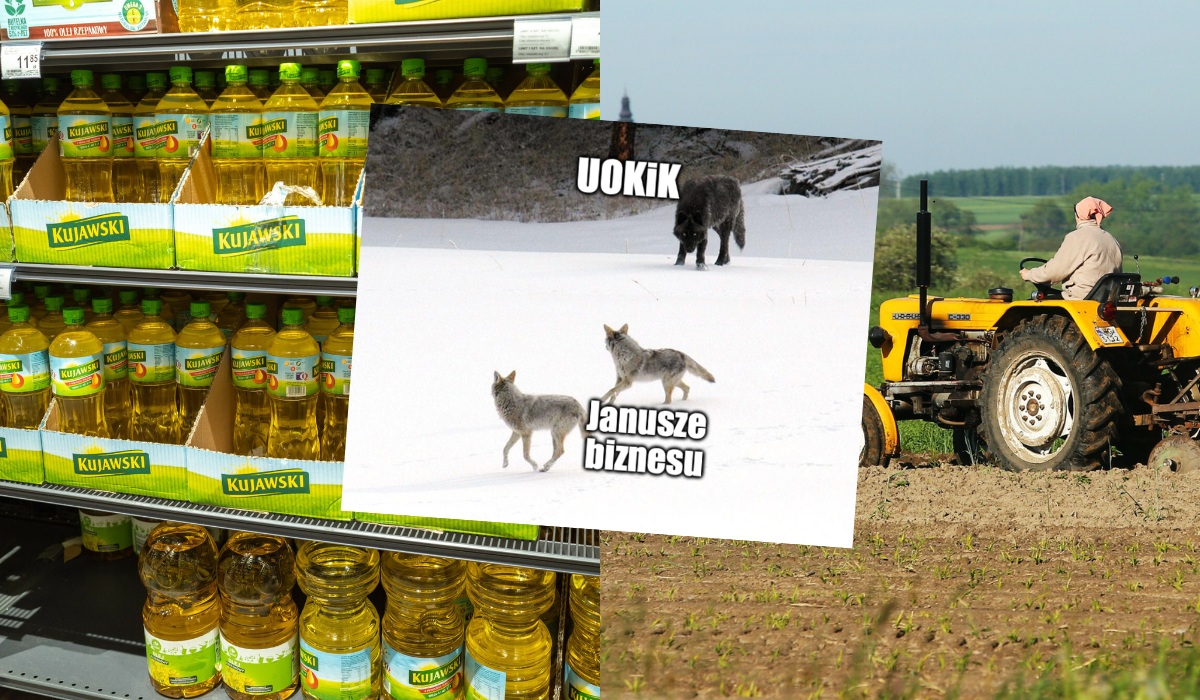 UOKiK argumentami i karami zmusił producenta Oleju Kujawskiego do uczciwszego traktowania rolników