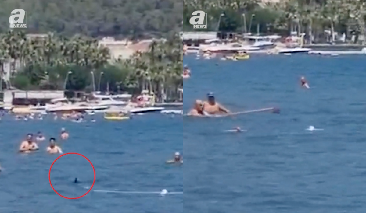 Marmaris: do ludzi odpoczywających w morzu przy plaży podpłynął rekin, ale dostał mopem i zawrócił