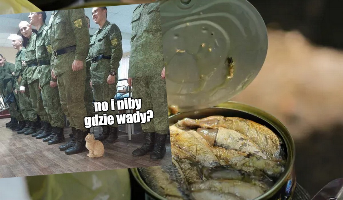 Rosja: okazało się, że 170 ton konserw "premium", które trafiały do żołnierzy, miały skład jak karma dla kotów
