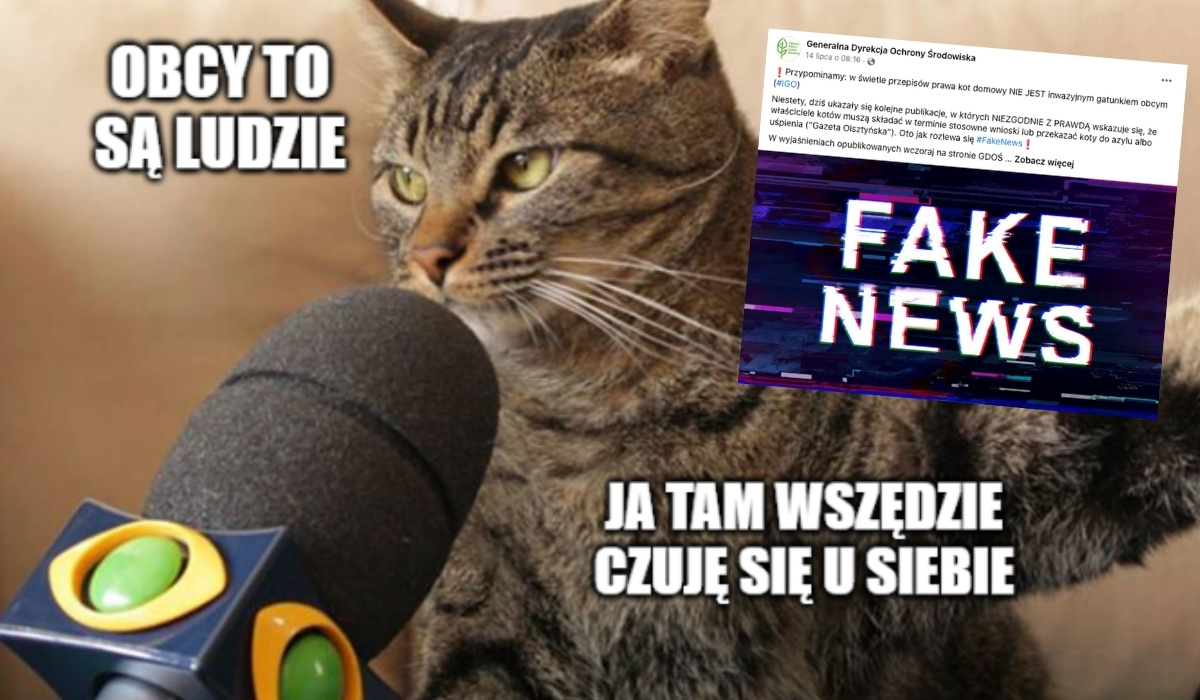 Wbrew różnym artykułom, kot nie jest w świetle prawa gatunkiem inwazyjnym