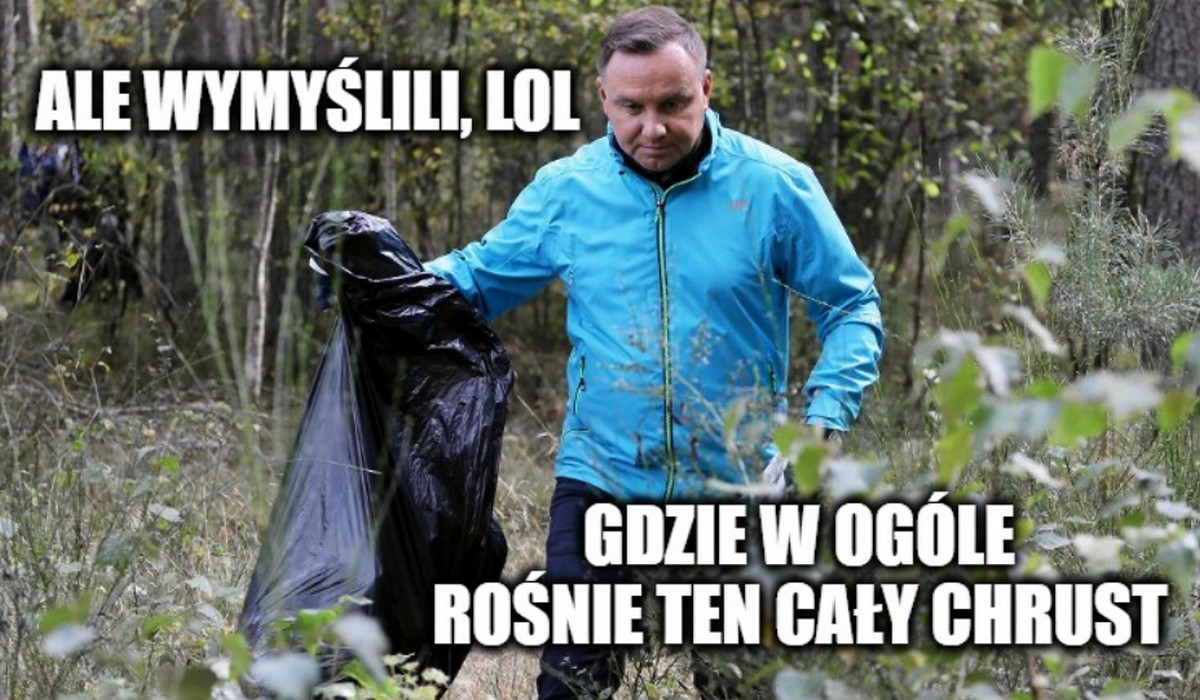 Wiceminister klimatu w związku z wysokimi cenami opału zachęca do zbierania chrustu w lesie