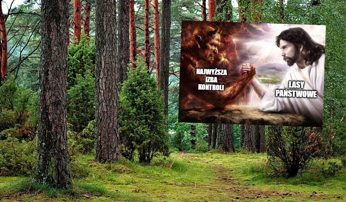 NIK dziwi się, że Lasy Państwowe wydały ciężką kasę na wydarzenia religijne i zbędne imprezy