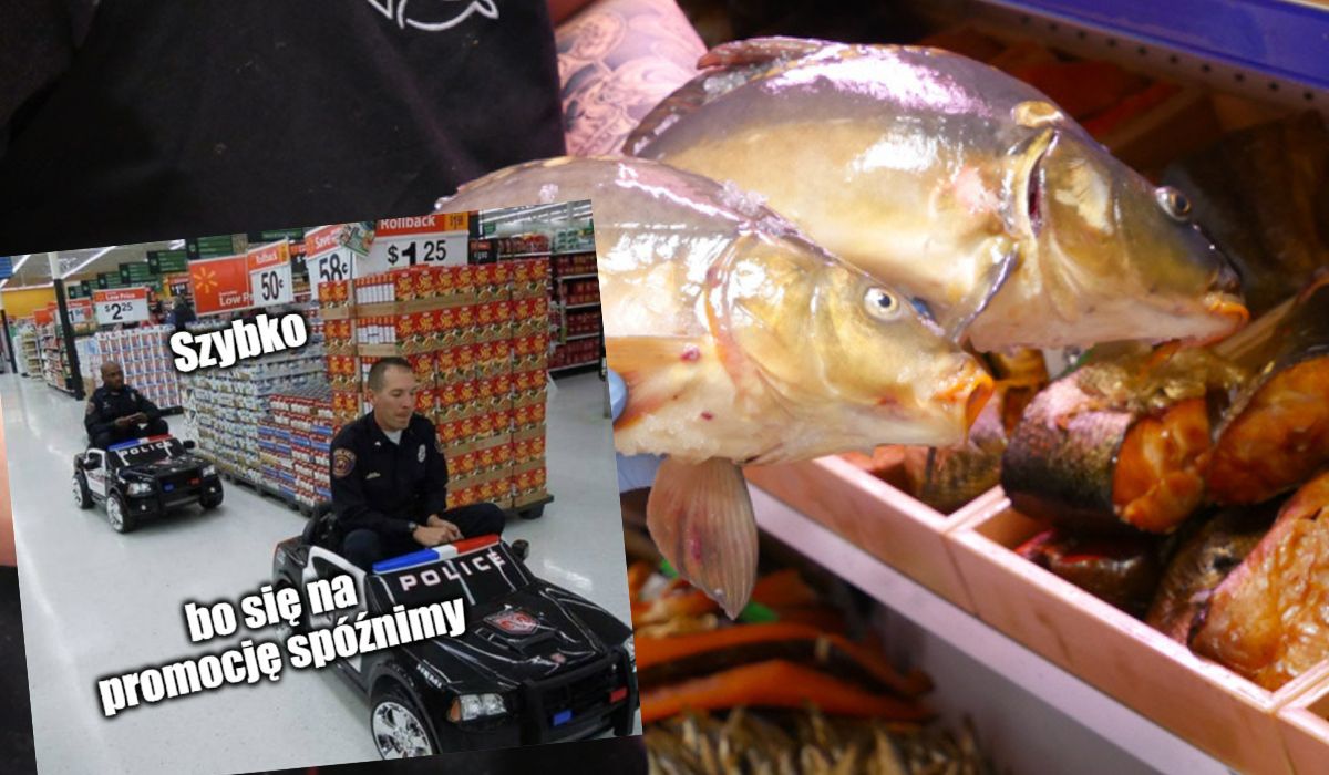 Mikołów: chłop uderzył policjanta, ale zrobiło mu się głupio, więc zaoferował mu 10 kg karpia i słodycze w ramach zadośćuczynienia