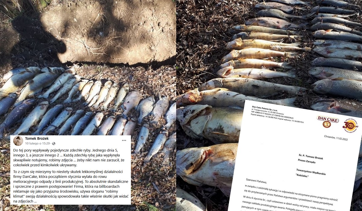 Chrzanów: firma DanCake, od maślanych bułeczek, oskarżona o zasyfienie stawu