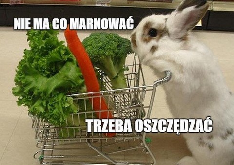 Lidl testuje półkę "zero waste". "Wczorajsze" produkty sprzedaje nawet 70% taniej
