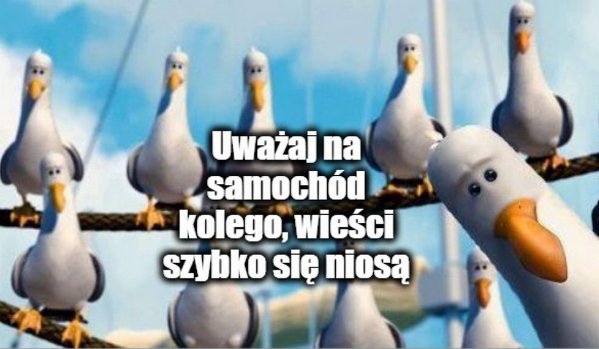 Skończył się pierwszy proces wytoczony za strącenie piskląt z gniazda, sąd nakazał zapłacić 8 koła kary