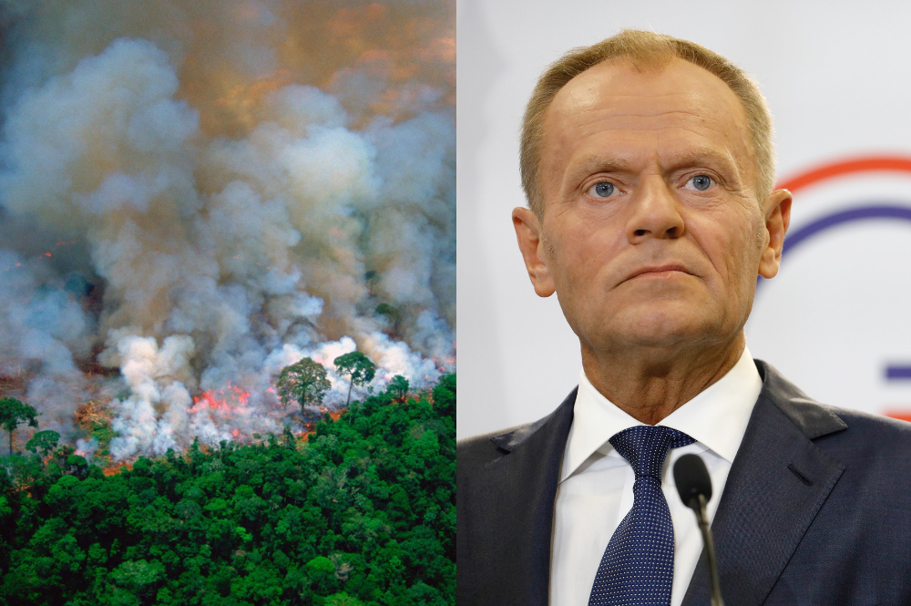Tusk, Macron i Merkel: dalsze niszczenie lasów Amazonii oznacza koniec wolnego handlu z Brazylią