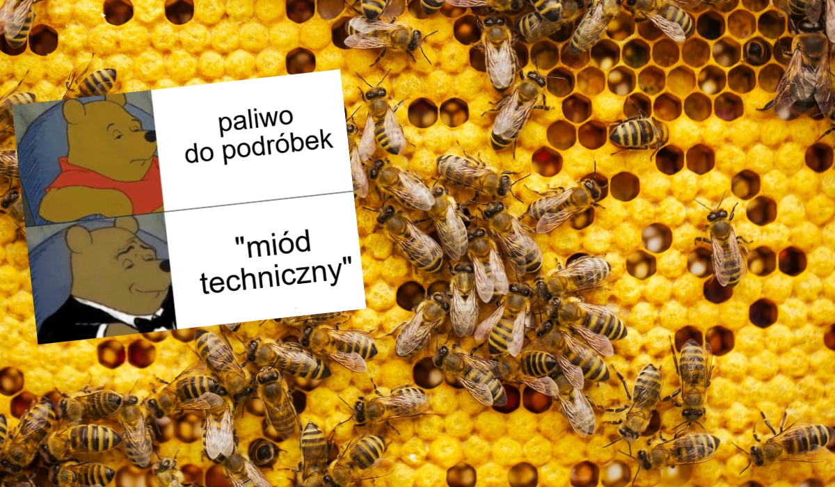 Miody "techniczne" z Chin i Turcji wypierają polskie, coraz więcej pszczelarzy rezygnuje z prób konkurencji