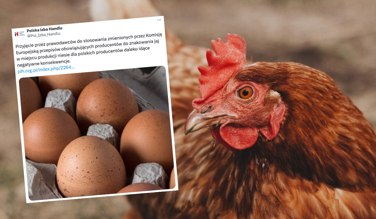 Branża jajcarska ostrzega przed wzrostem cen, który przełoży się na wiele produktów