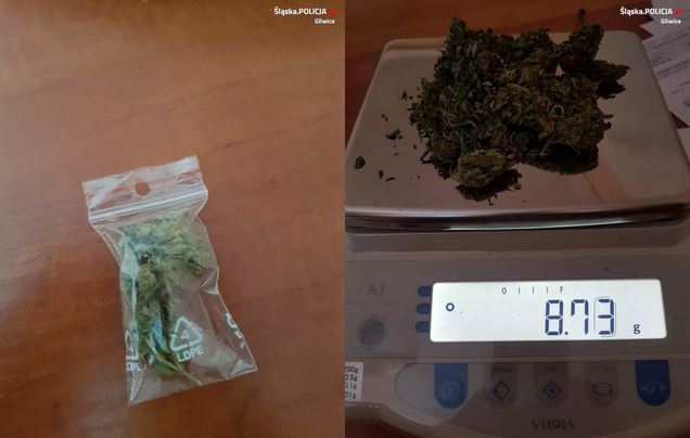 Policjanci pokazywali uczniom na lekcji psa specjalnego. Znalazł marihuanę w plecaku