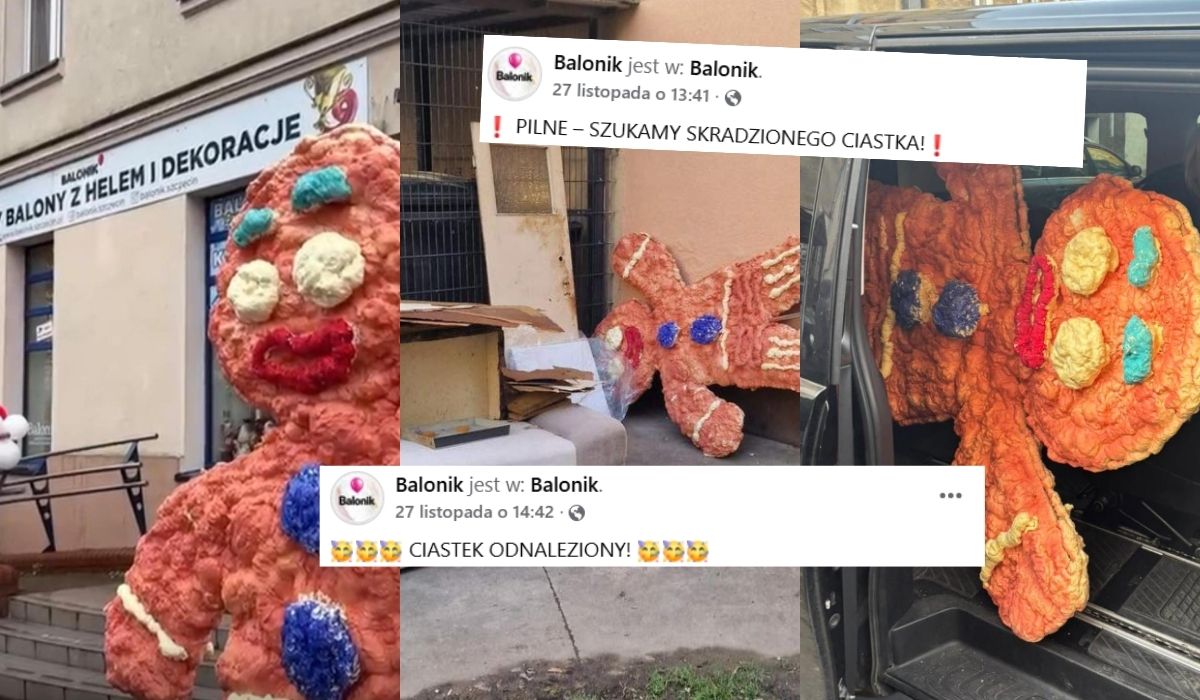 Szczecin: odnaleziono Ciastka, którego szukano od tygodnia, porywacz żądał 200 zł