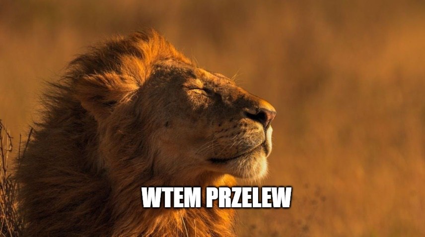 NIK: na wypłaty z 500+ wydano już 67 miliardów złotych