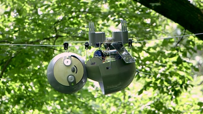 USA: powstał robo-leniwiec do badania wybranych gatunków w ogrodzie botanicznym