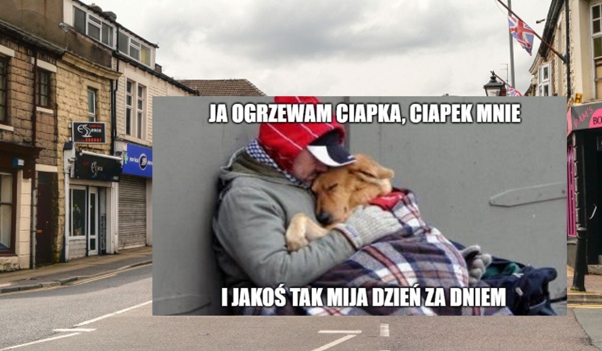 Badanie: osoby bezdomne mające zwierzęta częściej dbają o nie lepiej, niż reszta badanej populacji