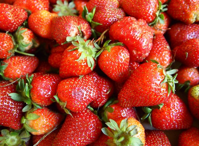 Pandemia, susza, powódź, brak rąk do pracy: nawet 80% truskawek zgniło na polach ಠ_ಠ