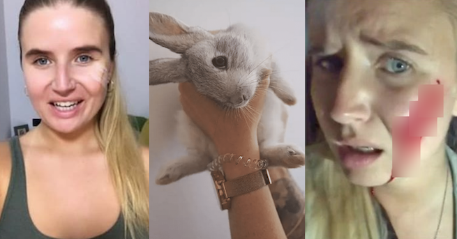 Wegańscy aktywiści ratowali króliki z hodowli, w efekcie zginęło ich więcej, niż uratowano