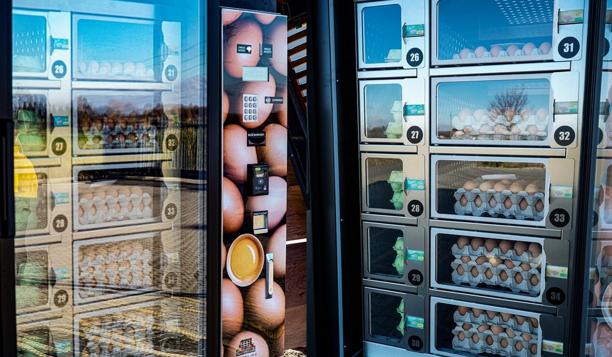 Drużbice eksperymentują z jajomatem, w którym można nabyć jajca z podziałem na sposób chowu