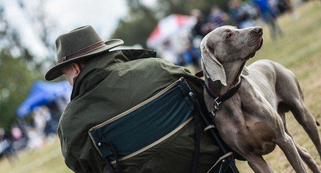 Ustawa dopuszczająca udział dzieci w polowaniu odrzucona w sejmowej komisji 