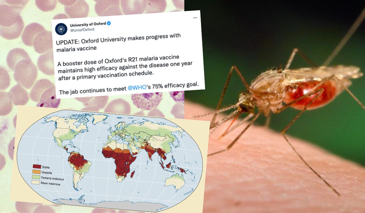 Nowa szczepionka na malarię budzi nadzieje: tania, daje ochronę na dwa lata i ma potencjał na bycie punktem zwrotnym