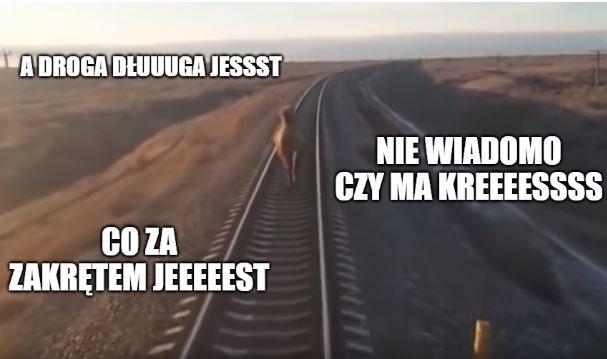 Rosja: wielbłąd spowodował opóźnienie pociągu, bo biegł przed pociągiem i uciekał do przodu