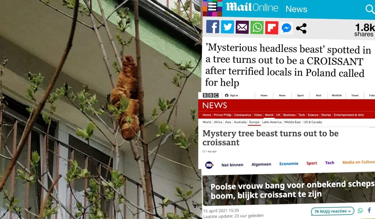 Rogalik-bestia z Krakowa robi międzynarodową karierę