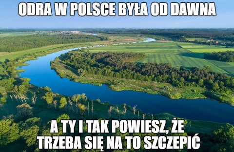 Ognisko odry w Polsce. Antyszczepionkowcy w końcu mogą budować swoją odporność