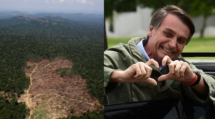 Bolsonaro do Merkel: bierz tę swoją kasę i zalesiaj Niemcy, okej? Tam jest bardziej potrzebna