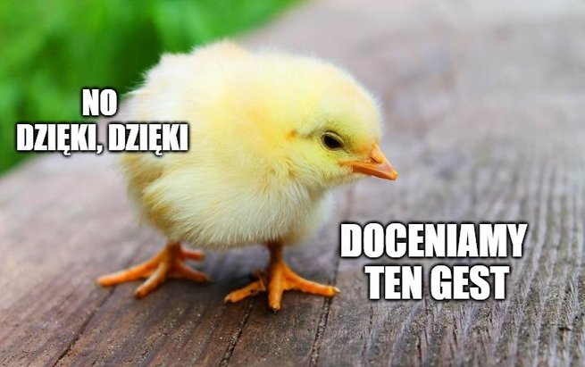 Francja do końca 2021 roku zakaże mielenia żywych piskląt-samców