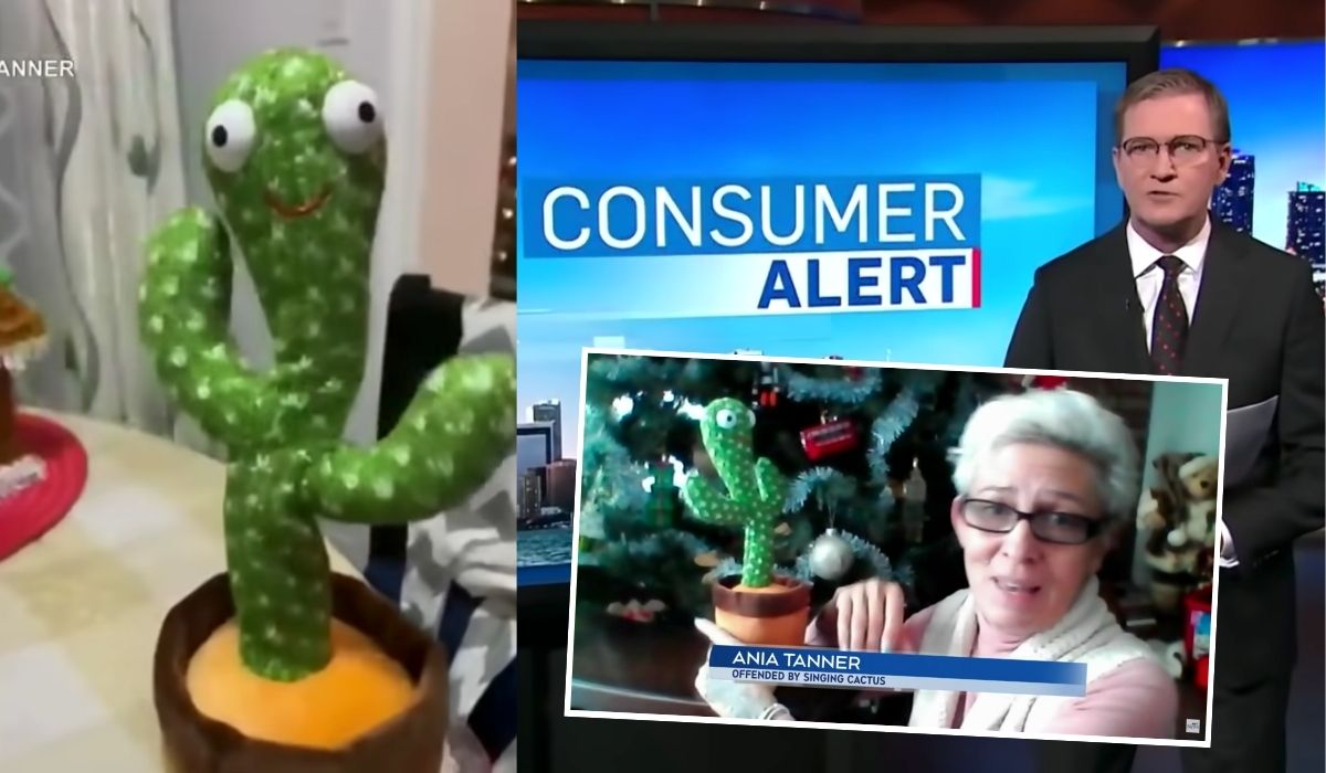 Kanada: media ostrzegają przed kaktusem śpiewającym kawałek Cypisa o kokainie, bo można go kupić w Walmarcie