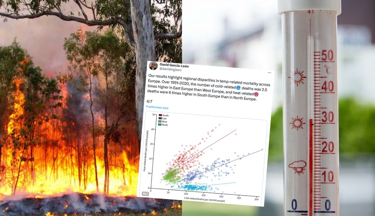 Badanie: liczba śmierci z powodu upałów do końca stulecia może wzrosnąć trzykrotnie